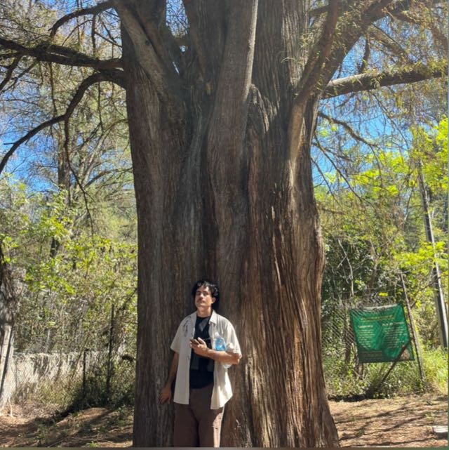 Fabrizio Franco Felix